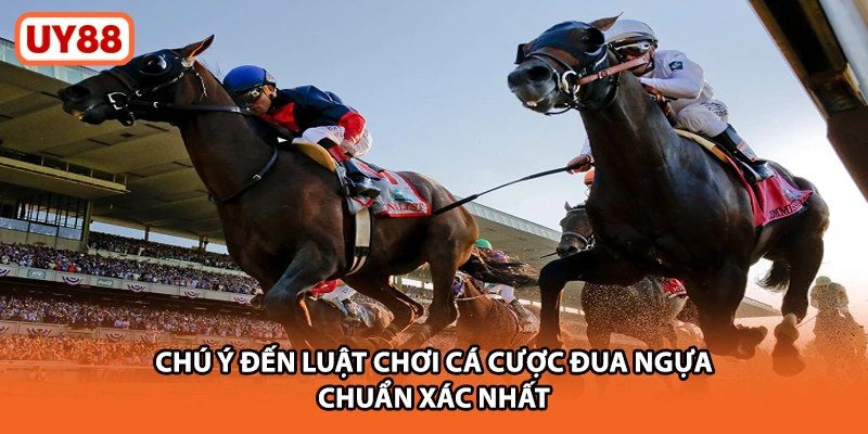 Chú ý đến luật chơi cá cược đua ngựa chuẩn xác nhất