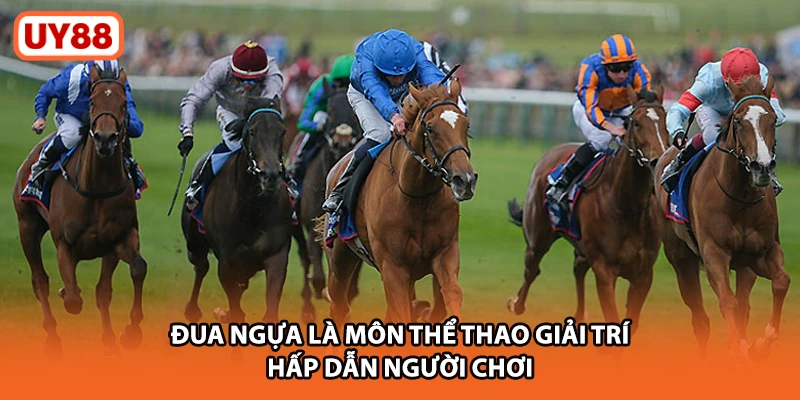 Đua ngựa là môn thể thao giải trí hấp dẫn người chơi