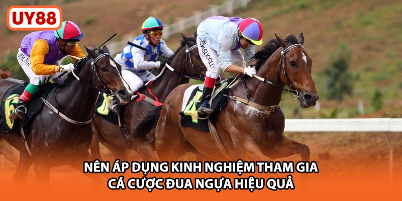 Nên áp dụng kinh nghiệm tham gia cá cược đua ngựa hiệu quả