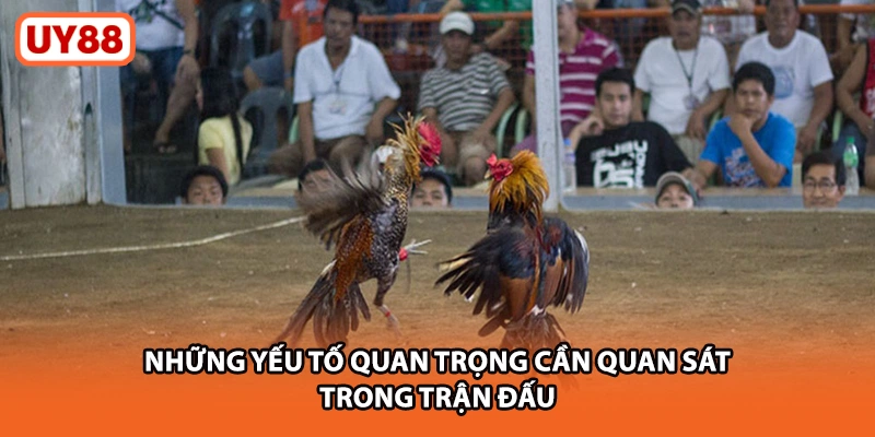 Những yếu tố quan trọng cần quan sát trong trận đấu